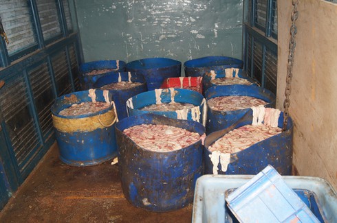 Bình Dương: Bắt giữ hơn 500kg nội tạng thối đang trên đường đi tiêu thụ - ảnh 1