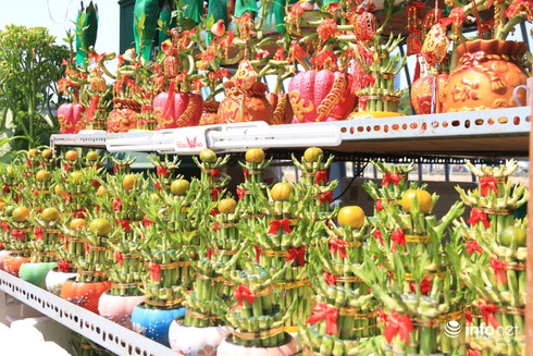 Bến Bình Đông - Chợ hoa nổi giữa lòng TP.HCM - ảnh 8