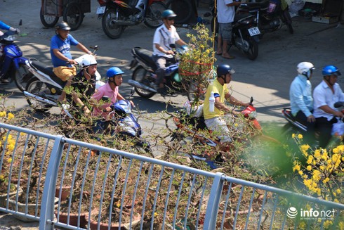 Bến Bình Đông - Chợ hoa nổi giữa lòng TP.HCM - ảnh 9