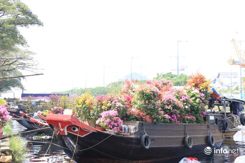 Bến Bình Đông - Chợ hoa nổi giữa lòng TP.HCM - ảnh 3