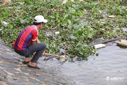 TP.HCM: Công viên bến Bạch Đằng xuống cấp trầm trọng - ảnh 14