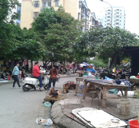 'Tầm gửi' bủa vây chung cư đông đúc bậc nhất Thủ đô - ảnh 7