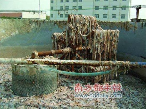 Rờn rợn gelatine làm chè khúc bạch