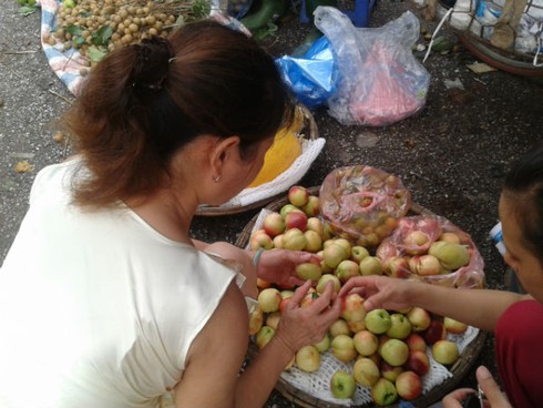 Lật tẩy đào Sa Pa dội chợ từ... Trung Quốc - ảnh 1