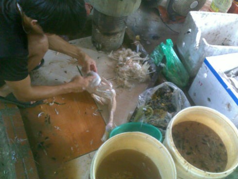 Hãi hùng thịt, cá sơ chế trên cống nước thải, nước rửa cực bẩn - ảnh 7