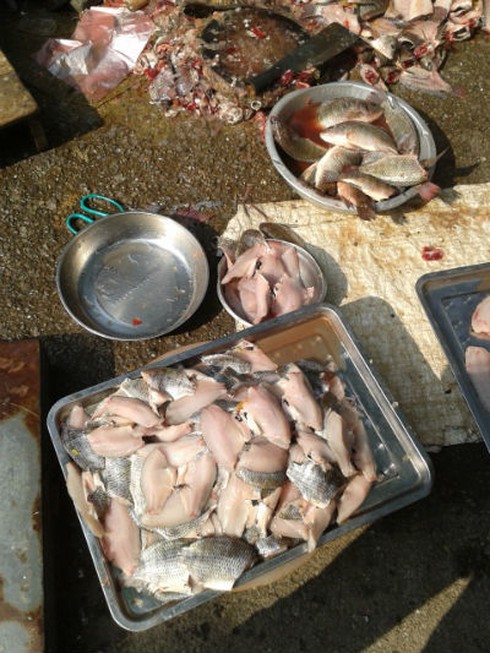 Hãi hùng thịt, cá sơ chế trên cống nước thải, nước rửa cực bẩn - ảnh 5