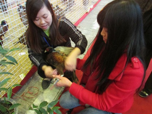 Dân HN đổ xô sắm tết, siêu thị