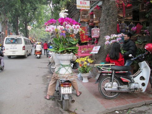 Dân HN đổ xô sắm tết, siêu thị