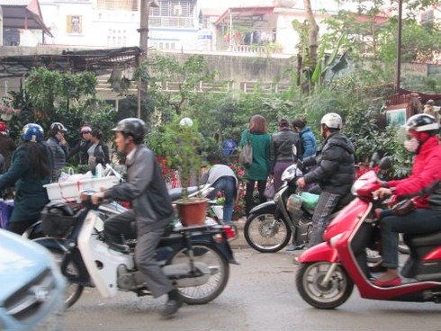 Dân HN đổ xô sắm tết, siêu thị