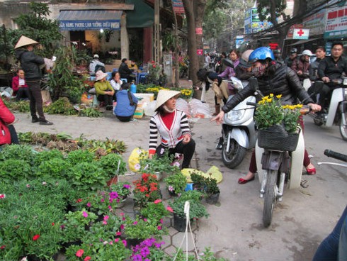 Dân HN đổ xô sắm tết, siêu thị