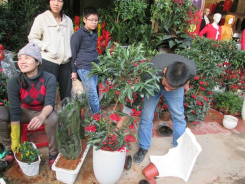 Dân HN đổ xô sắm tết, siêu thị