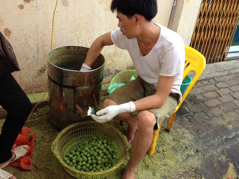 Kiếm hơn triệu mỗi sáng nhờ quả sấu - ảnh 2