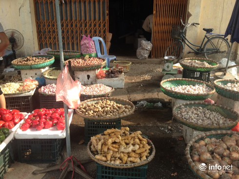 Nghịch lý: Giải cứu nông sản Việt, nông sản Trung Quốc vẫn chiếm chợ - ảnh 1