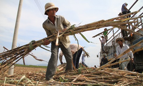 Cộng đồng kinh tế ASEAN: Đã đến lúc Việt Nam chấm dứt bảo hộ - ảnh 1