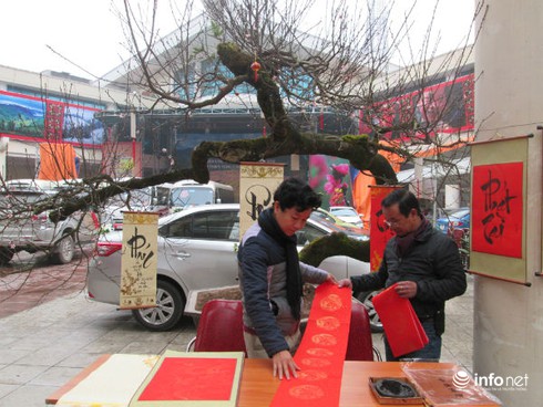 Ngắm cây đào cổ giá gần nửa tỉ đồng ở Hà Nội - ảnh 10