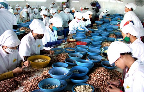 Bỏ ngỏ thị trường ASEAN, Việt Nam chỉ chú tâm “đánh bắt xa bờ”? - ảnh 1