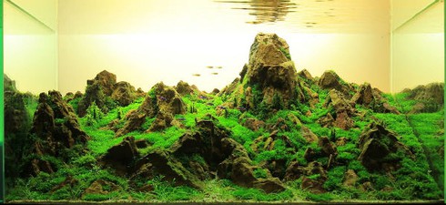 Thú chơi đắt đỏ, tao nhã mê hoặc dân Hà thành - ảnh 6