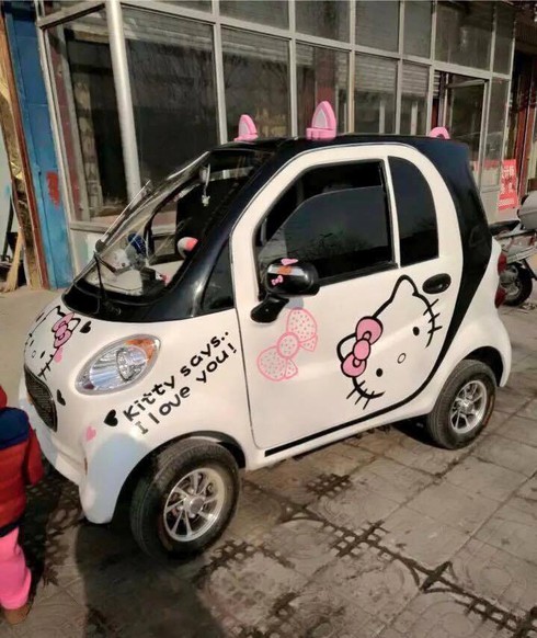 Ngậm ngùi vì mua ô tô điện về chỉ để đi... trong làng - ảnh 1