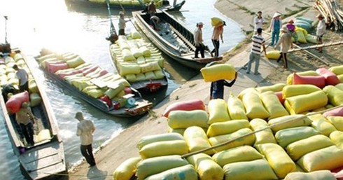 Thái Lan xả kho 11 triệu tấn gạo: Gạo cũ xấu, giá rẻ - ảnh 1