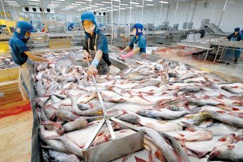 Thủy sản xuất khẩu của Việt Nam bị trả về chỉ đứng sau Trung Quốc - ảnh 1