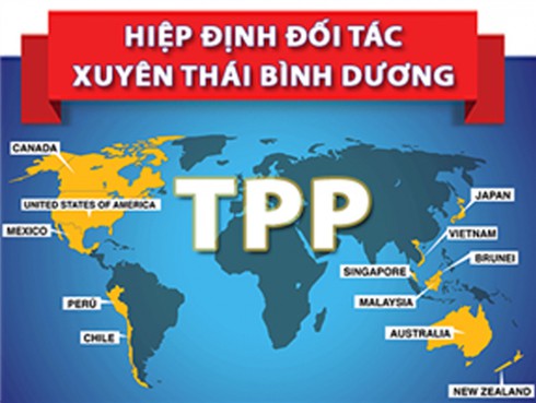 Việt Nam dũng cảm khi tham gia TPP? - ảnh 1