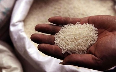 Gạo Việt xuất khẩu bị trả về sẽ đi đâu? - ảnh 1