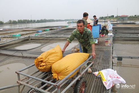 Thành tỷ phú nhờ nuôi loại cá... lắm thị phi - ảnh 3