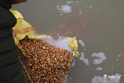 Thành tỷ phú nhờ nuôi loại cá... lắm thị phi - ảnh 2