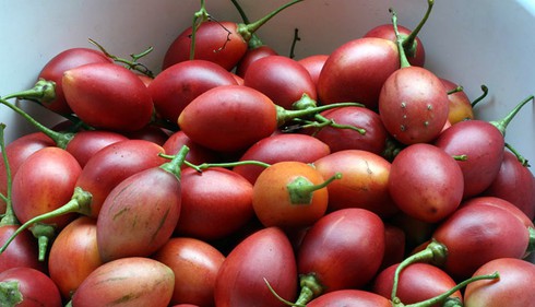 Hoa quả ngoại giá đắt gấp trăm lần, nhà giàu Việt chẳng ngại ngần móc ví - ảnh 2