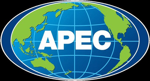 Mục tiêu Bogo: Cảm hứng phát triển của APEC - ảnh 1