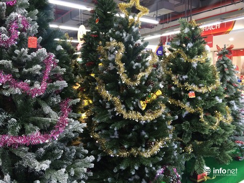 Hãy khám phá ngay hình ảnh cây thông Noel giá rẻ để chuẩn bị cho một mùa Giáng Sinh ấm áp và đầy tình yêu. Đừng bỏ lỡ cơ hội sở hữu cây thông Noel tuyệt đẹp với giá cực kỳ ưu đãi này.