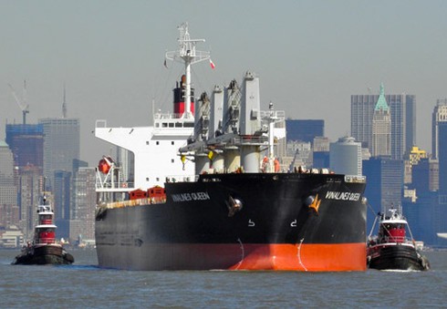 Chưa công nhận kết luận nguyên nhân chìm tàu Vinalines Queen - ảnh 2