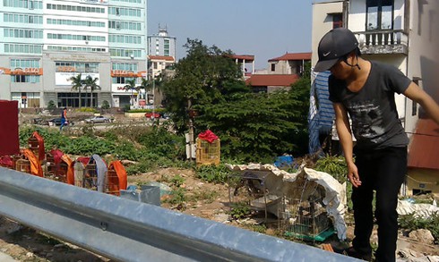 Chim cảnh họp chợ trên cầu vượt Hà Nội - ảnh 3