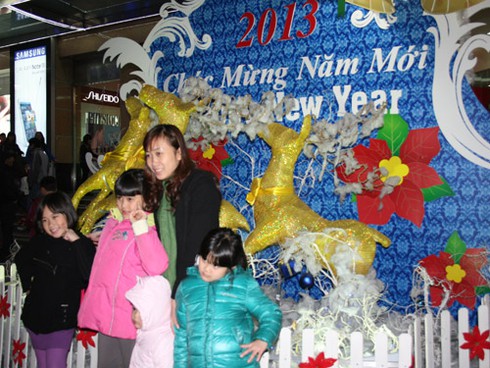 Biển người hân hoan đón năm mới 2013 - ảnh 1