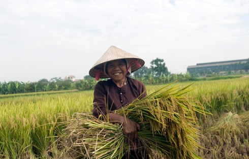 “Chúng ta không thể mãi nghèo thế này được” - ảnh 1