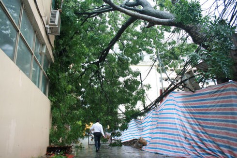 Trung tâm Hà Nội: Ngập lụt, cây đổ, giao thông ách tắc - ảnh 1