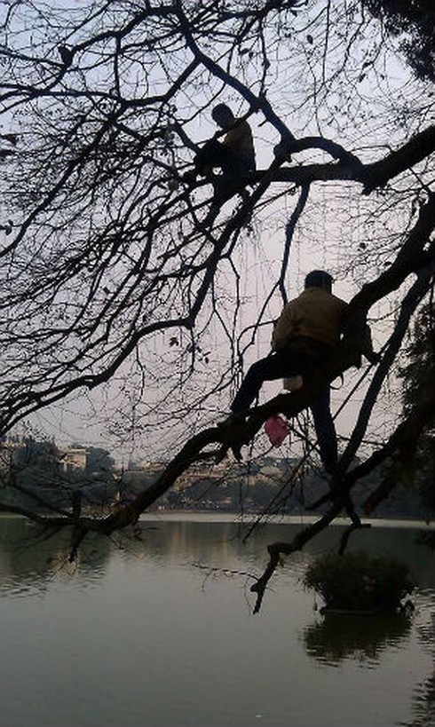 “Trái tim” Hà Nội rộn ràng nhịp Tết - ảnh 7