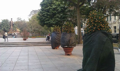 “Trái tim” Hà Nội rộn ràng nhịp Tết - ảnh 6