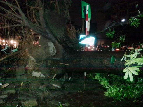 EVN Hà Nội xin lỗi khách hàng vì mất điện diện rộng - ảnh 2