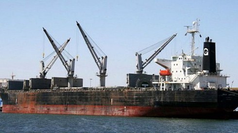Thanh tra việc thu nhiều phụ phí của hãng tàu nước ngoài tại Việt Nam - ảnh 1