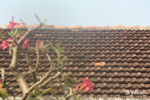 Về thăm ngôi nhà cổ độc nhất vô nhị trên đảo Lý Sơn - ảnh 10