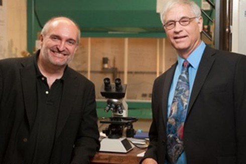 Xét nghiệm máu phát hiện sớm ung thư phổi, vú