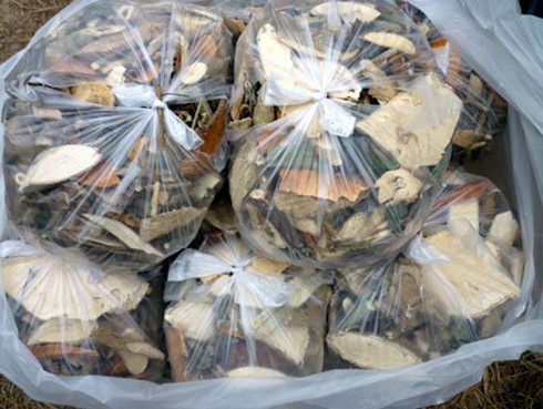 Những thang thuốc chữa vô sinh, sinh con theo ý muốn của bà lang Nhương (Ảnh: VTC News)