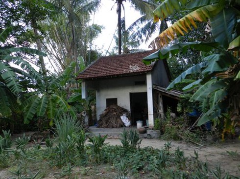 Cảm động nữ sinh hóa Tấm chăm sóc người già neo đơn