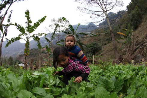 Bé gái 9 tuổi làm