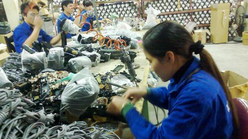 Doanh nghiệp nên tận dụng nguyên liệu