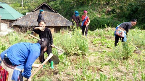 Góc tối Sìn Hồ - ảnh 1