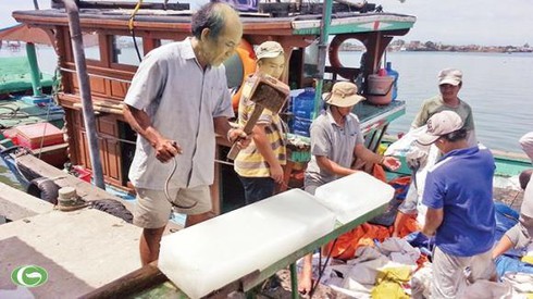 Chợ giữa biển Đông - ảnh 1