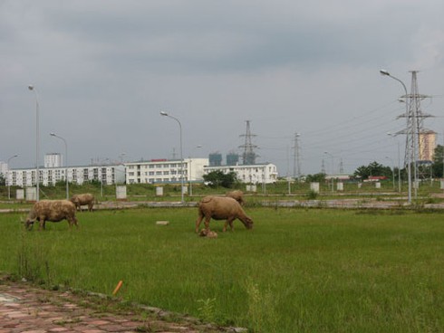 Đổ nhiều tỷ đồng làm dự án tái định cư