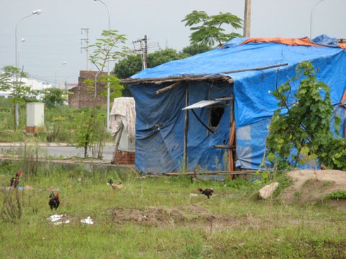 Đổ nhiều tỷ đồng làm dự án tái định cư